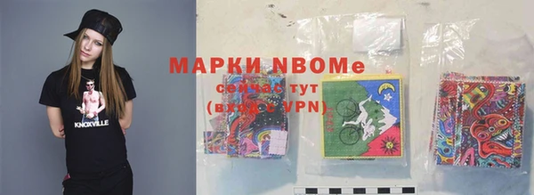 PSILOCYBIN Ельня