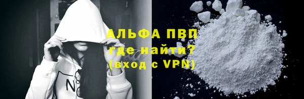 PSILOCYBIN Ельня