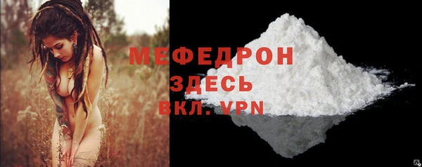 PSILOCYBIN Ельня