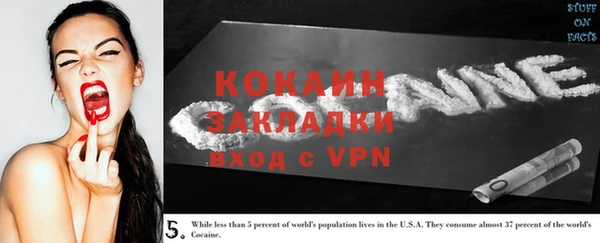 PSILOCYBIN Ельня