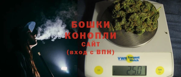 PSILOCYBIN Ельня