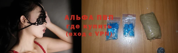 PSILOCYBIN Ельня