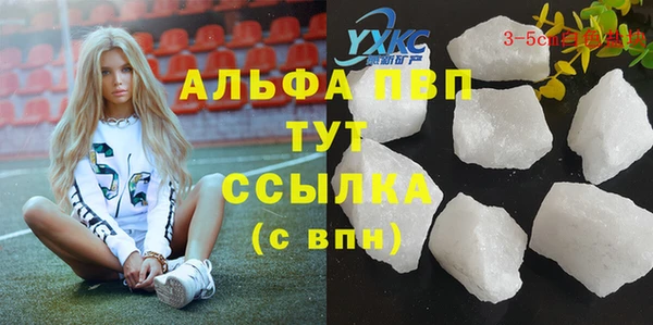 PSILOCYBIN Ельня